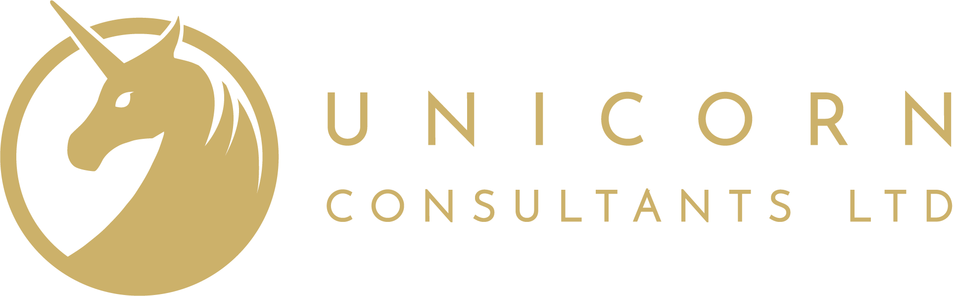 Unicorn Consultant